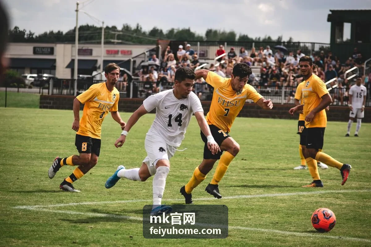 mk官网案例展示之产业园周界安防升级项目现场
