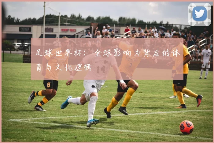 足球世界杯：全球影响力背后的体育与文化逻辑