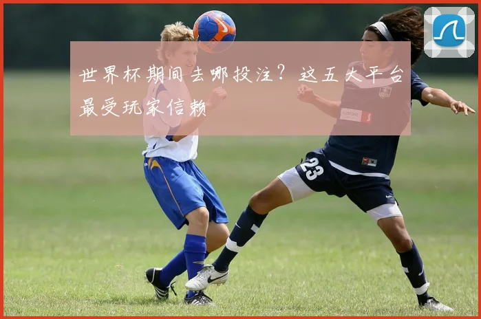 世界杯期间去哪投注?这五大平台最受玩家信赖