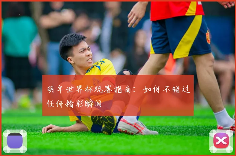 明年世界杯观赛指南：如何不错过任何精彩瞬间